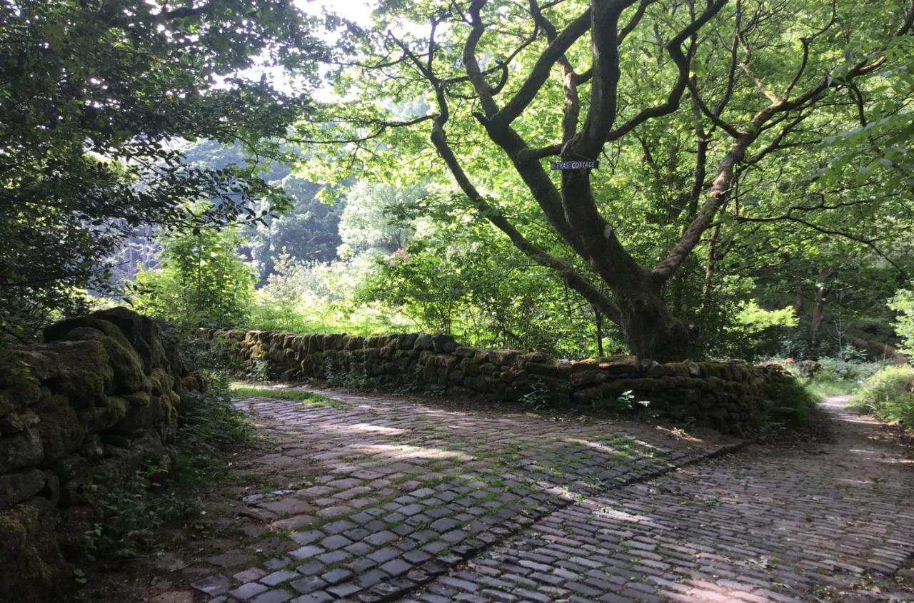 Tyas Cottage Slaithwaite Экстерьер фото